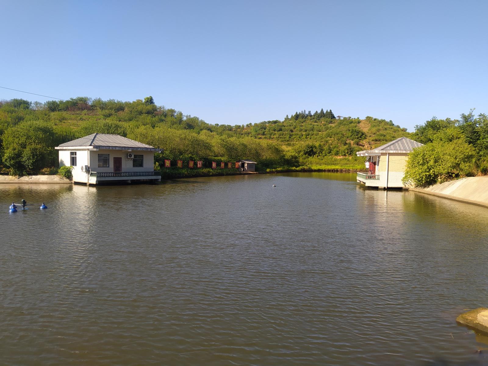 IMG_20220808_083431.jpg IMG_20220808_083431.jpg