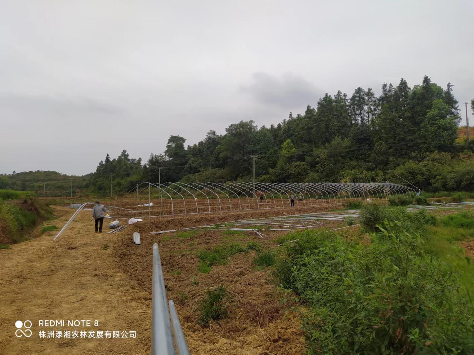 蔬菜大棚建设现场