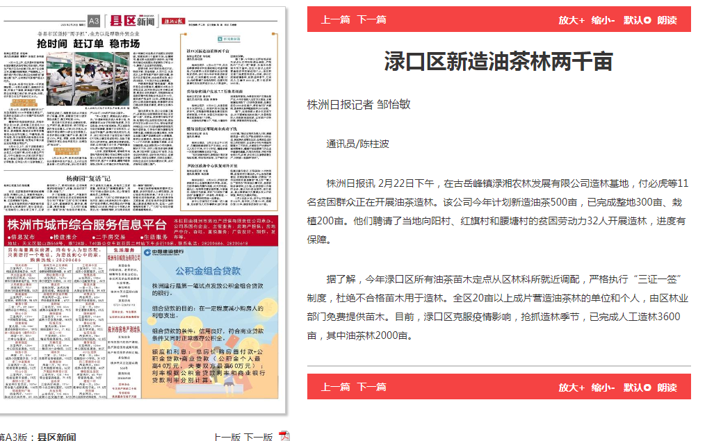 株洲日报报道株洲渌湘农林发展有限公司新造油茶林情况